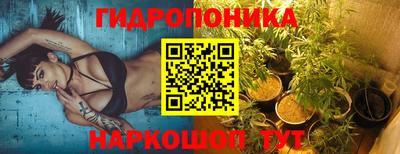 прущие крисы Гусев