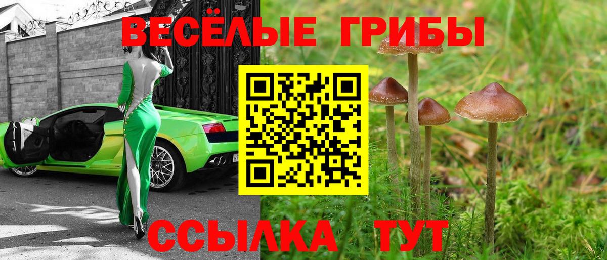 Псилоцибиновые грибы мухоморы Нижневартовск